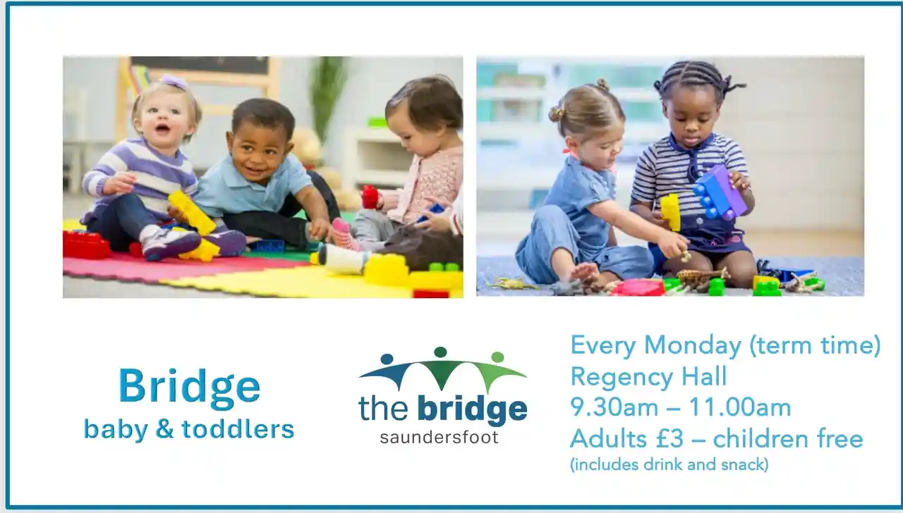 Bridge Baby and Toddlers
